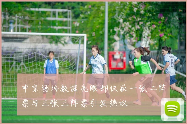 申京场均数据亮眼却仅获一张二阵票与三张三阵票引发热议
