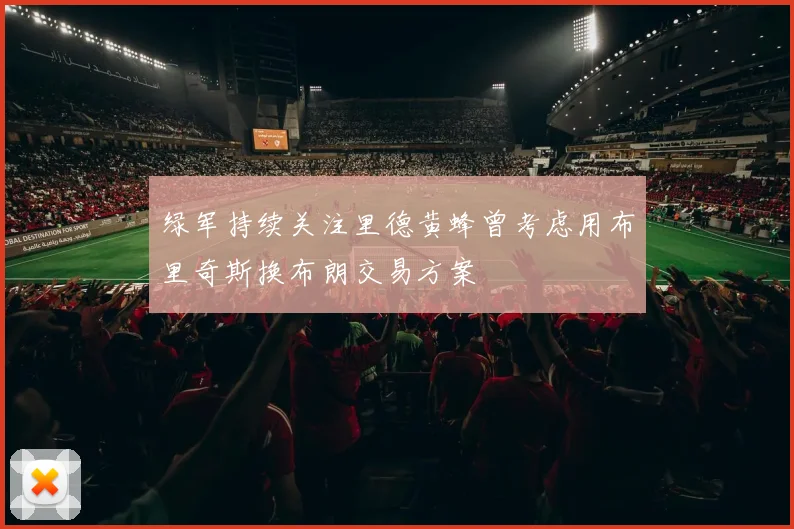 绿军持续关注里德黄蜂曾考虑用布里奇斯换布朗交易方案